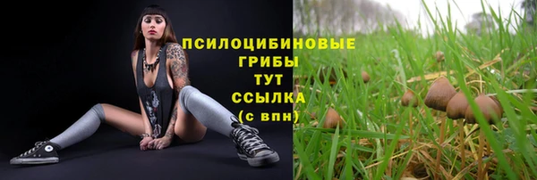 амф Баксан